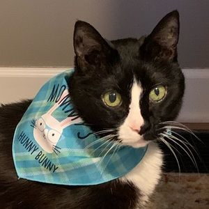 Meet your Posher, Frank